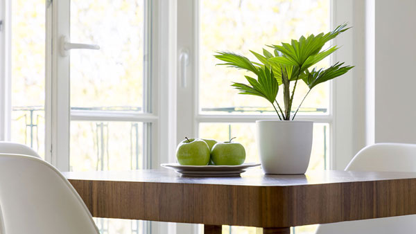 window, Hamburg | Schuller GmbH, Neumarkt